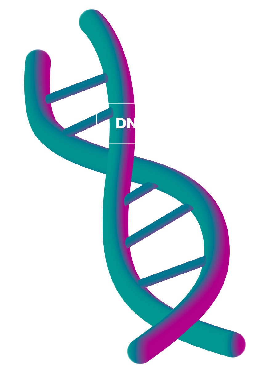 GENESIS_DNA_sequencing