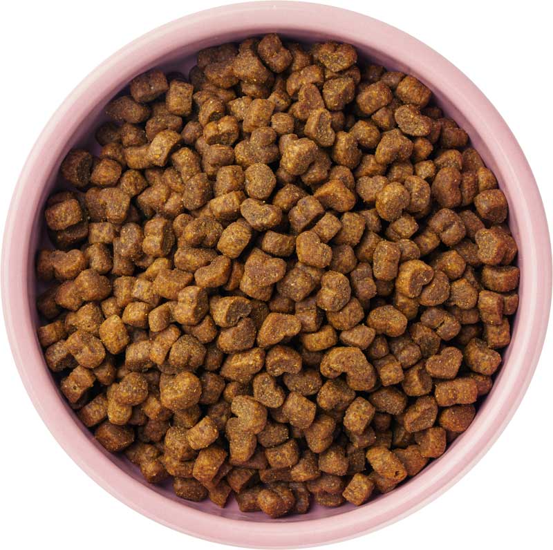 Bowl with dry pet food – for illustration purpose only